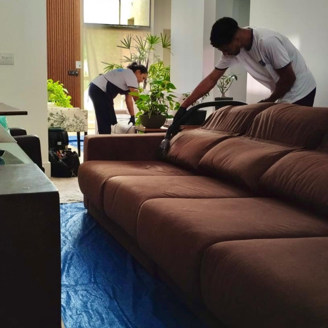 estoflimp7l limpeza de sofa